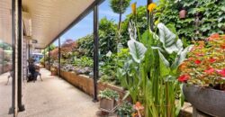 20 Bowman Place, Leopold, Vic 3224