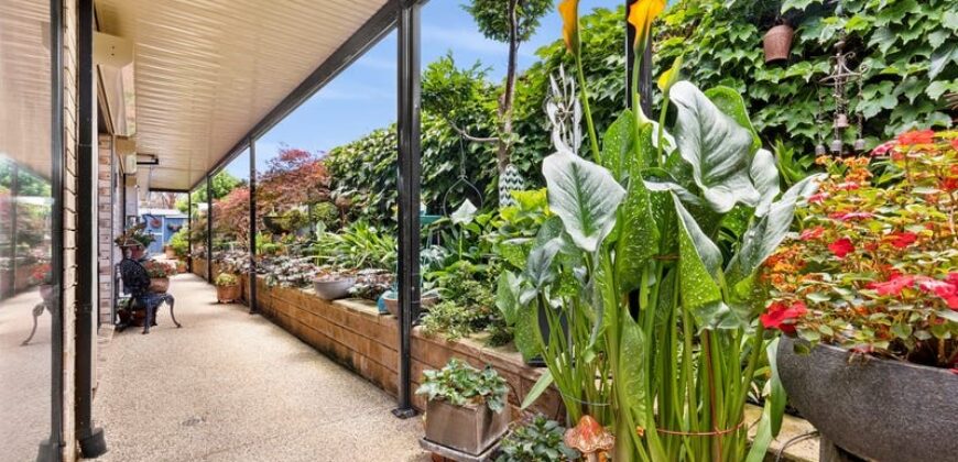 20 Bowman Place, Leopold, Vic 3224