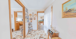 51 Shell Road, Ocean Grove, Vic 3226