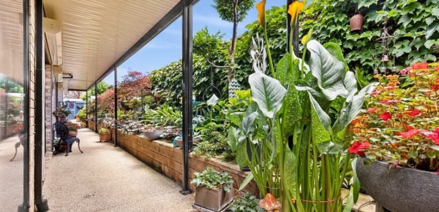 20 Bowman Place, Leopold, Vic 3224  <br> Price ($845,000)